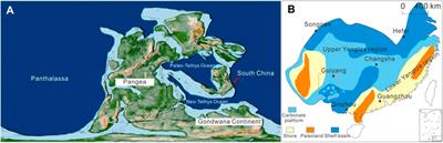 Organic matter enrichment model of Permian Capitanian-Changhsingian black shale in the intra-platform basin of Nanpanjiang basin
